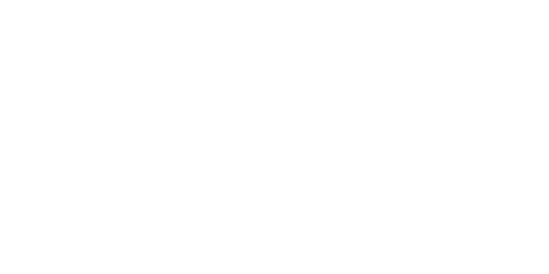 Pedro Vieira — logo oficial